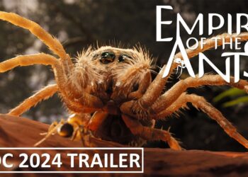Império das Formigas – Trailer GDC 2024