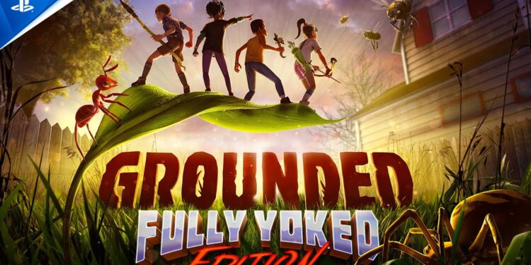 Trailer de Lançamento da Edição Completa de Grounded