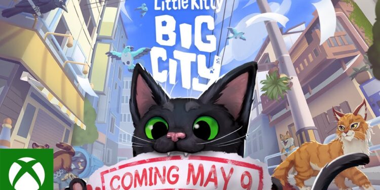 Gatinho Pequeno, Cidade Grande – Lançamento em 9 de maio!