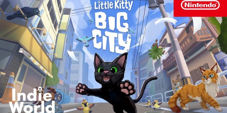 Pequeno Gatinho, Grande Cidade – Revelação da Data de Lançamento