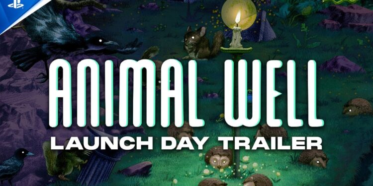 Trailer de Lançamento do Animal Well