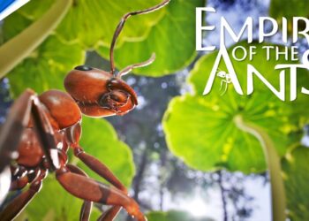 Império das Formigas – Trailer de Data de Lançamento | PS5