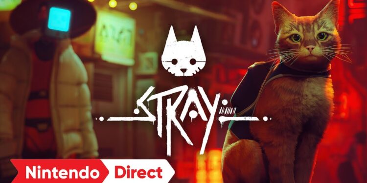 Stray – Trailer de Anúncio