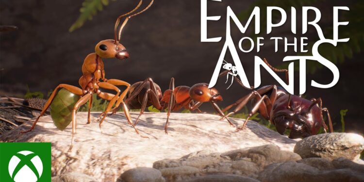 Império das Formigas – Trailer da Edição de Varejo