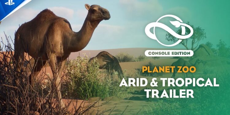Trailer de Lançamento do Pacote Arid & Tropical do Planet Zoo: Edição de Console