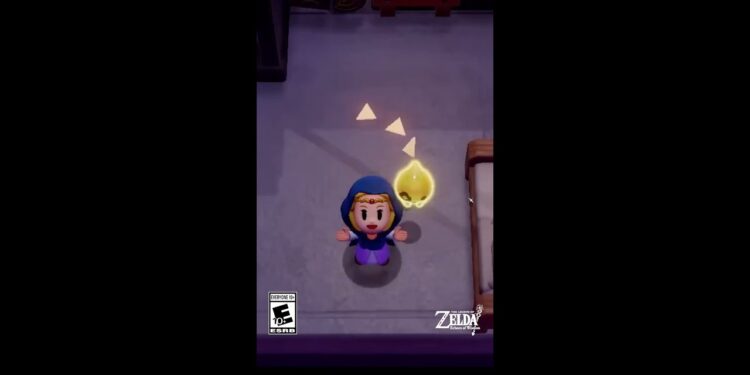 A Lenda de Zelda: Ecos de Sabedoria – Em Uma Palavra