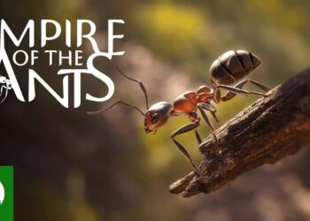 Império das Formigas – Trailer de Lançamento