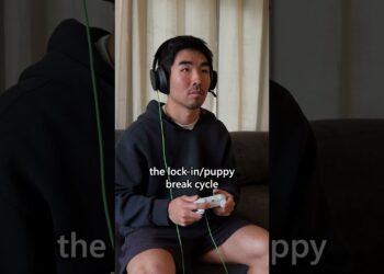 Pausas frequentes para filhotes melhoram o desempenho nos jogos #Xbox #Gaming