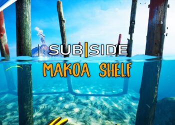 Descubra Makoa Shelf em Subside – Gameplay Empolgante!