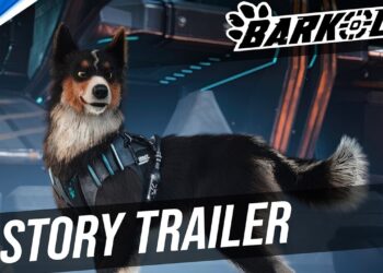 Barkour – Aventura Canina cheia de desafios!