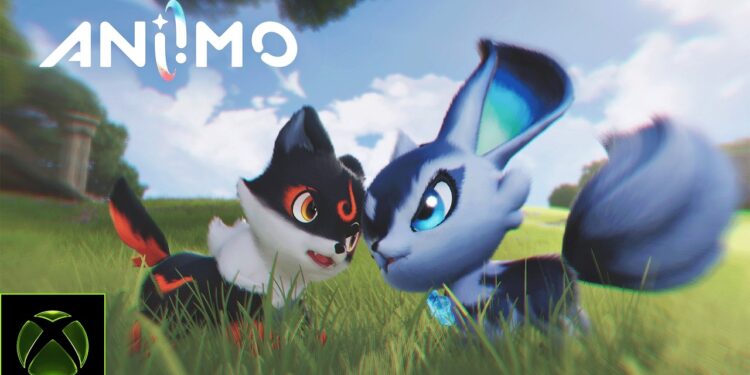 Lançamento do Aniimo | Trailer Revelado