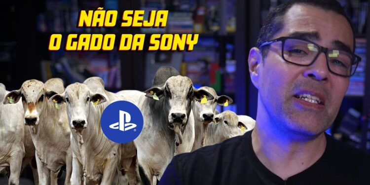 Sony na decadência: o que esperar da gigante dos games?