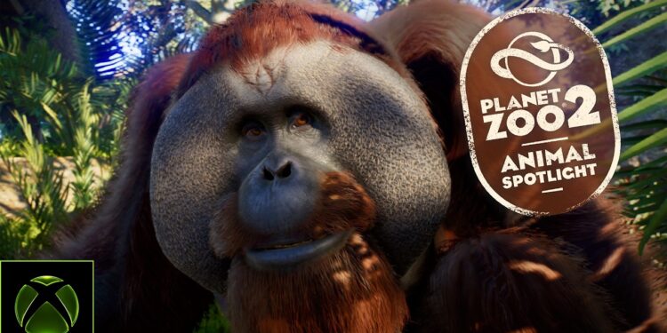 Destaque Animal: Orangotango-de-Sumatra no Planet Zoo 2